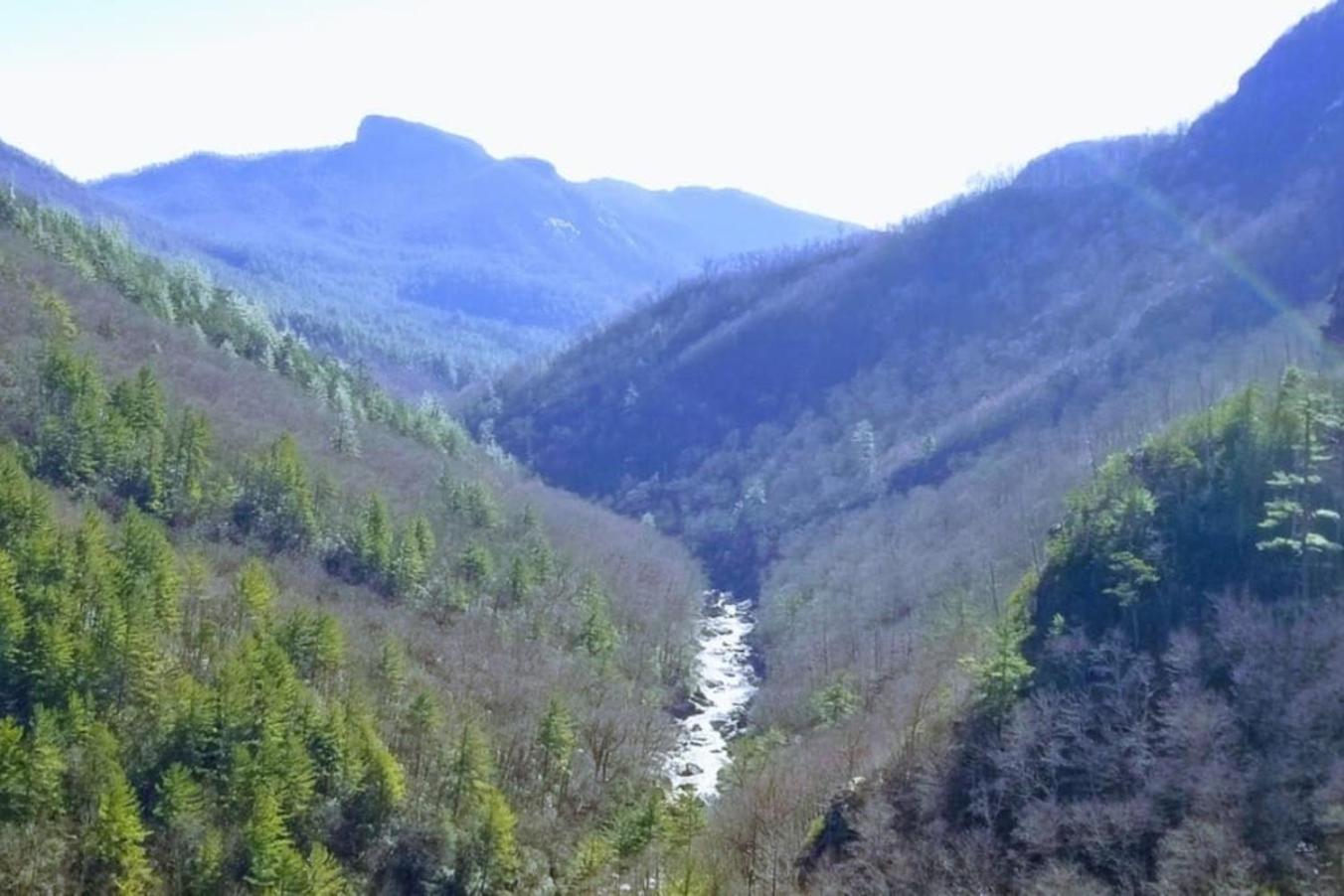 Bark House Heart Of Linville Falls Wspa Newland Bagian luar foto