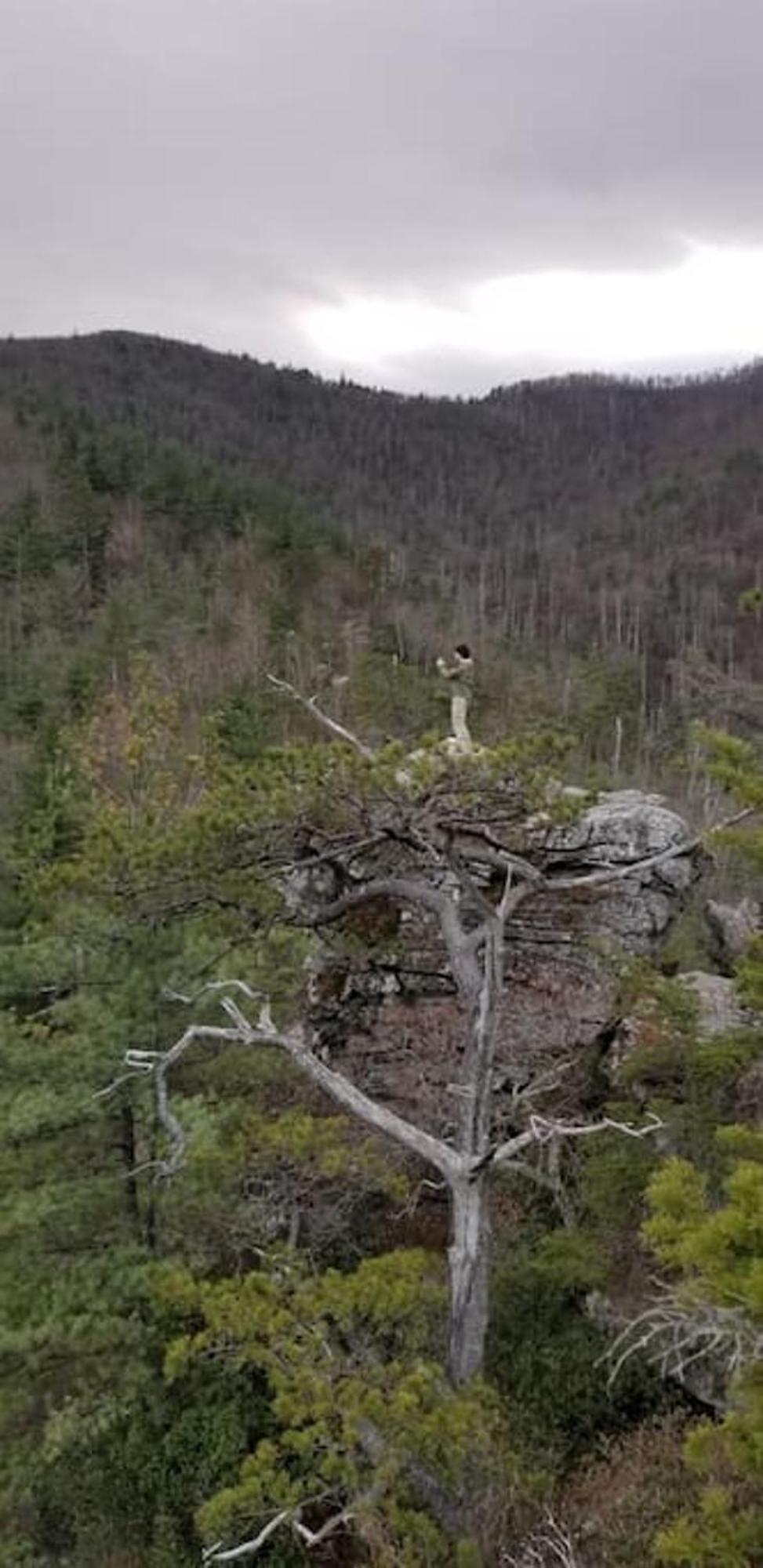 Bark House Heart Of Linville Falls Wspa Newland Bagian luar foto